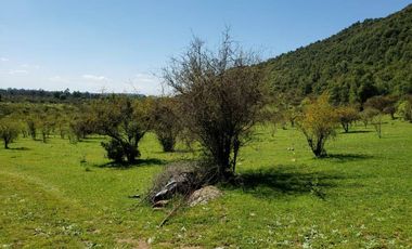 Parcela de 63 Hectàr, sector Bazaes a orilla carretera L-11