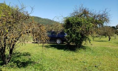 Parcela de 63 Hectàr, sector Bazaes a orilla carretera L-11