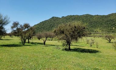 Parcela de 63 Hectàr, sector Bazaes a orilla carretera L-11