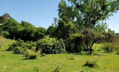 Parcela de 63 Hectàr, sector Bazaes a orilla carretera L-11