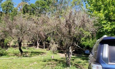 Parcela de 63 Hectàr, sector Bazaes a orilla carretera L-11