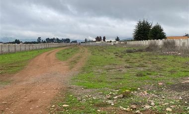 Sitio en Arriendo en Ruta 253 Bellavista