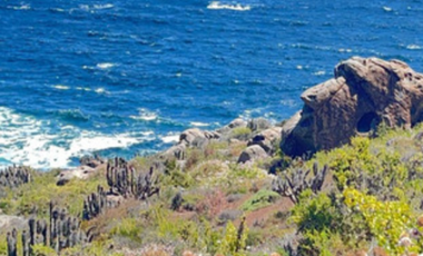 VENTA TERRENO - SITIO 62000MTS Coquimbo