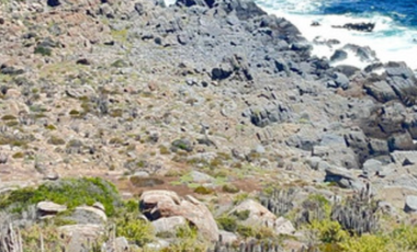 VENTA TERRENO - SITIO 62000MTS Coquimbo