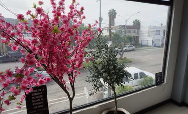 Edificio con 7 Consultorios en Venta – Ubicación Estratégica en Ensenada | BC