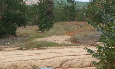 PAREDONES A 30KM DE LAGUNA VICHUQUEN