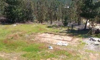 PAREDONES A 30KM DE LAGUNA VICHUQUEN