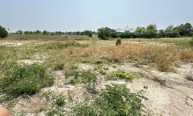 Exclusive Land Plot for Sale in Palm Village