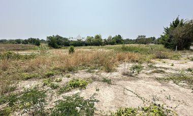 Exclusive Land Plot for Sale in Palm Village