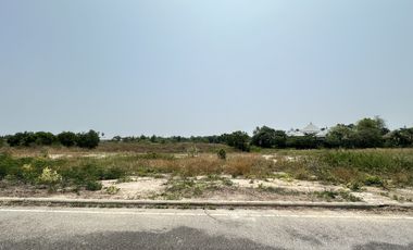 Exclusive Land Plot for Sale in Palm Village