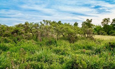 Lote 41 en Desarrollo Ecológico, Dos Rios