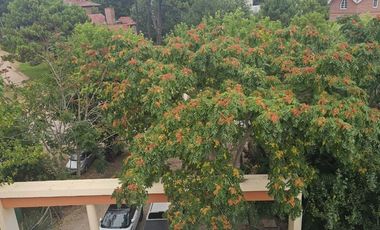 Venta departamento 2 ambientes Ostende