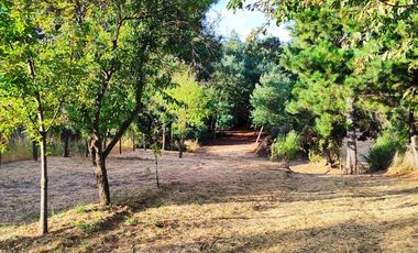 Parcela en venta en QUILACO