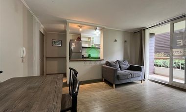 Departamento en Arriendo en Isla de Pascua