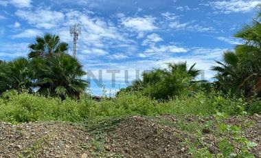 VENTA TERRENO URBANIZACION LA MILINA SALINAS