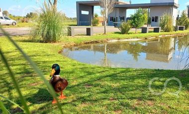 Departamento en  Venta en Casuarinas Premiun