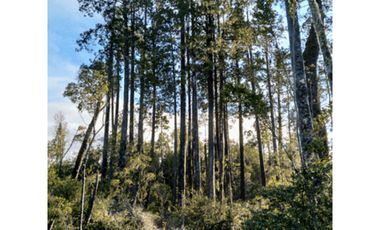 Parcela En Venta En Puerto Montt