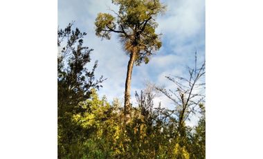 Parcela En Venta En Puerto Montt