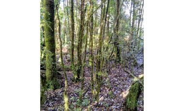 Parcela En Venta En Puerto Montt