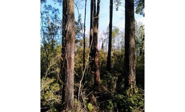 Parcela En Venta En Puerto Montt