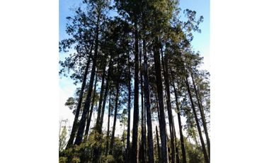 Parcela En Venta En Puerto Montt