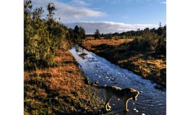 Parcela En Venta En Puerto Montt