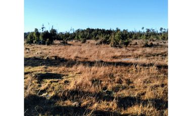 Parcela En Venta En Puerto Montt