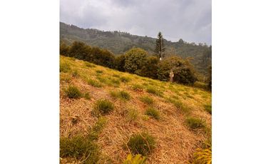 Vendo lote en La Estrella Antioquia
