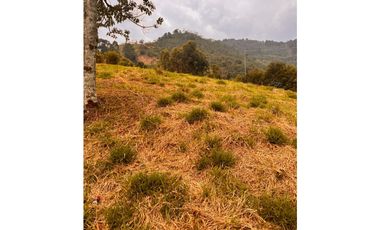 Vendo lote en La Estrella Antioquia