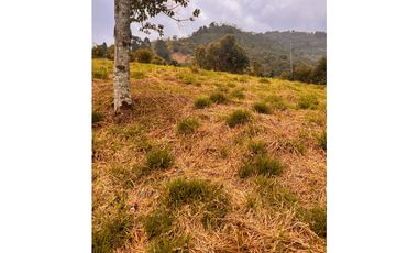 Vendo lote en La Estrella Antioquia