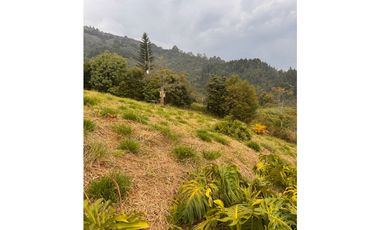 Vendo lote en La Estrella Antioquia