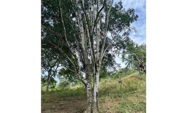 Encantadores Lotes en parcelación Sopetrán Antioquia vendo