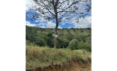 Encantadores Lotes en parcelación Sopetrán Antioquia vendo