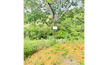 Encantadores Lotes en parcelación Sopetrán Antioquia vendo