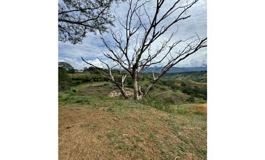 Encantadores Lotes en parcelación Sopetrán Antioquia vendo