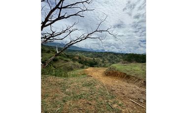 Encantadores Lotes en parcelación Sopetrán Antioquia vendo
