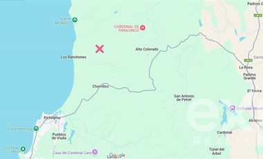 Sitio en Venta en Terreno 5000 m2 Pichilemu