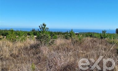 Sitio en Venta en Terreno 5000 m2 Pichilemu