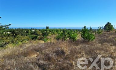 Sitio en Venta en Terreno 5000 m2 Pichilemu
