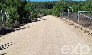 Sitio en Venta en Terreno 5000 m2 Pichilemu