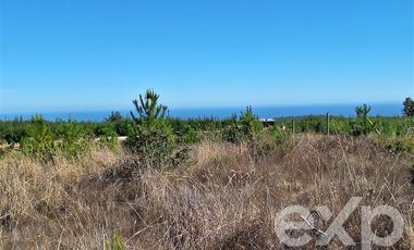 Sitio en Venta en Terreno 5000 m2 Pichilemu