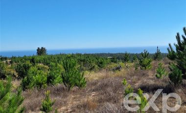 Parcela en Venta en Terreno 5000 m2 Pichilemu