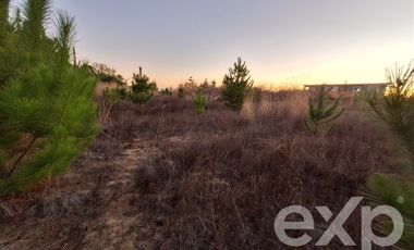 Parcela en Venta en Terreno 5000 m2 Pichilemu