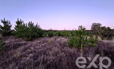 Parcela en Venta en Terreno 5000 m2 Pichilemu
