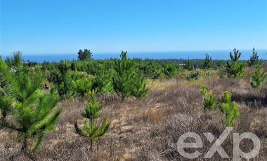 Terreno Construccion en Venta en Terreno 5000 m2 Pichilemu