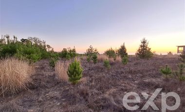 Terreno Construccion en Venta en Terreno 5000 m2 Pichilemu
