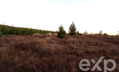 Terreno Construccion en Venta en Terreno 5000 m2 Pichilemu