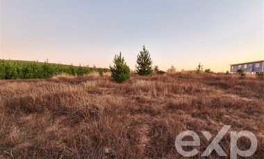 Terreno Construccion en Venta en Terreno 5000 m2 Pichilemu