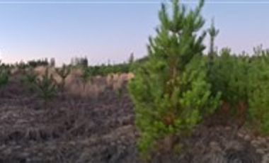 Terreno Construccion en Venta en Terreno 5000 m2 Pichilemu