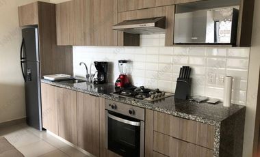 Condominio  en Renta Condo ROMA ENCORE -  en Diaz Ordaz Puerto Vallarta